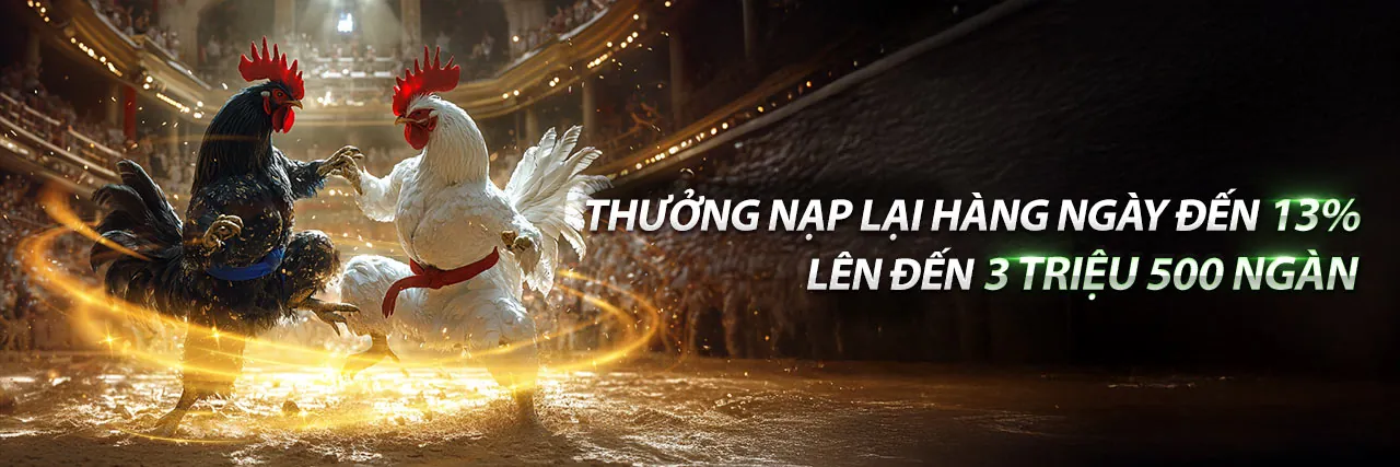 Cá cược thể thao đỉnh cao tại NN88 2026